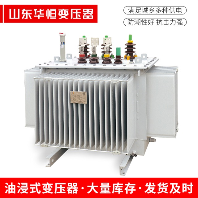 S13-10000/35上犹上犹上犹电力变压器